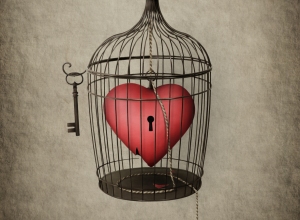 heart cage
