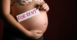 pregnancy%20for%20rent(1)